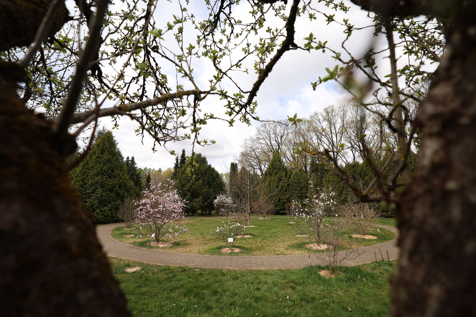 Фото: Павел Орловский, Times.by