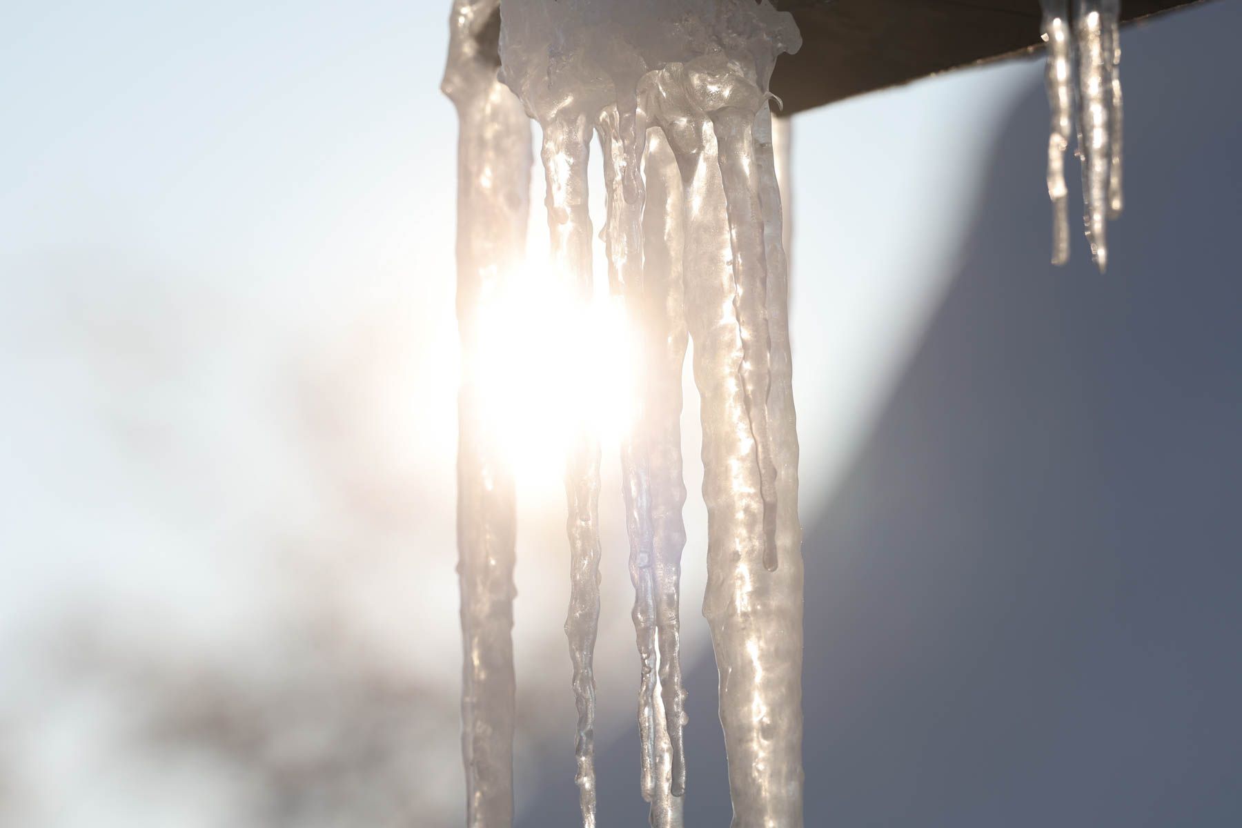 © Павел Орловский, Times.by