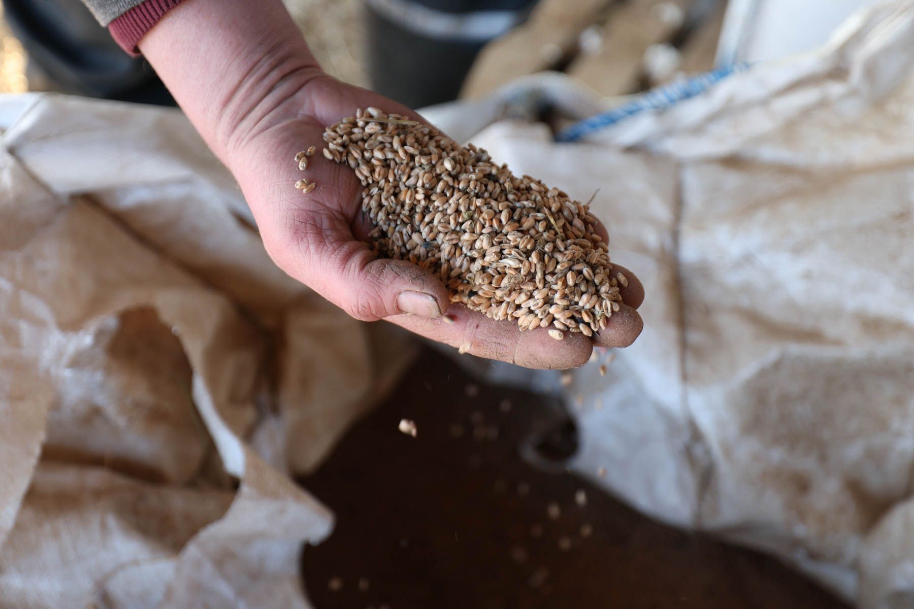 © Павел Орловский, Times.by