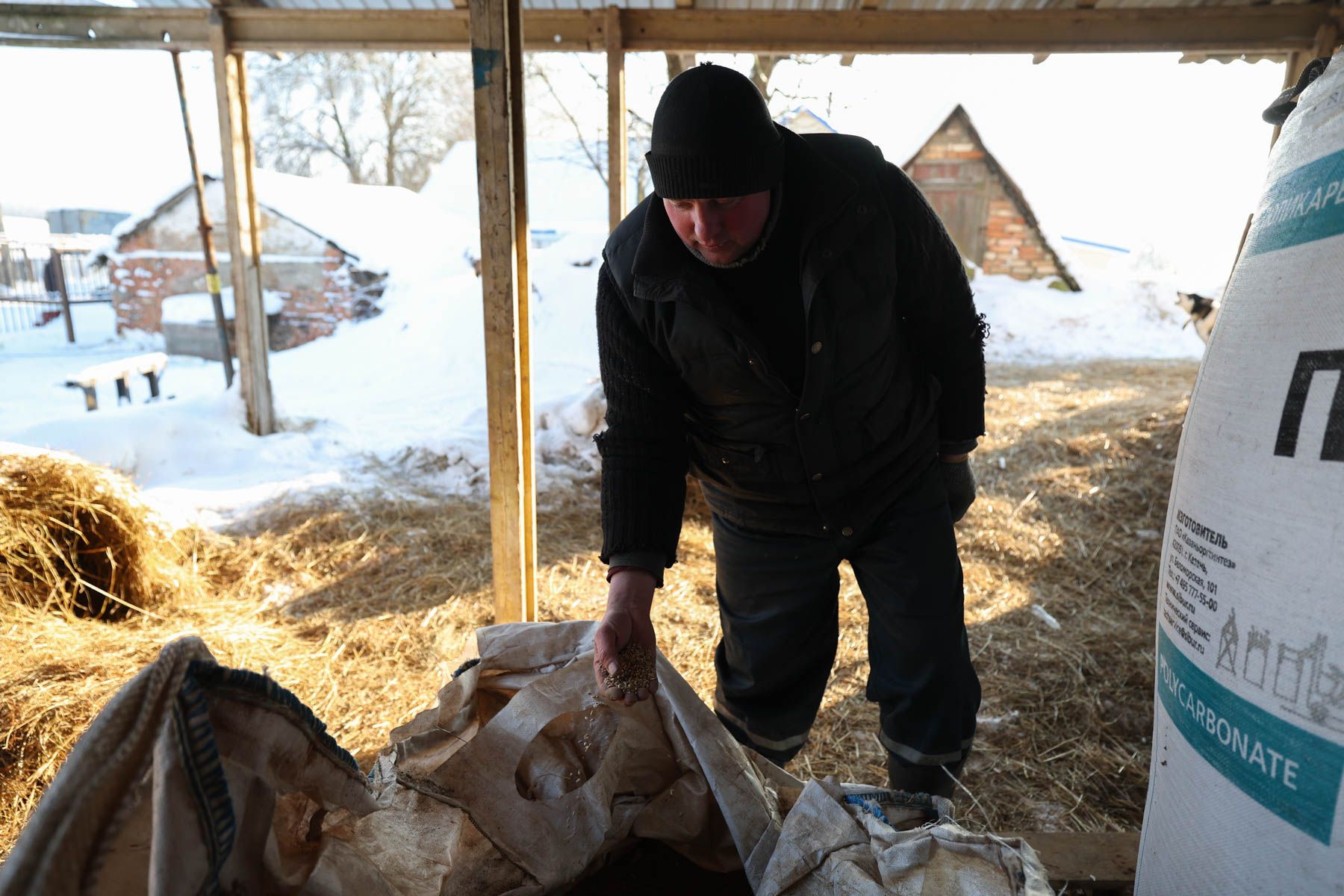 © Павел Орловский, Times.by