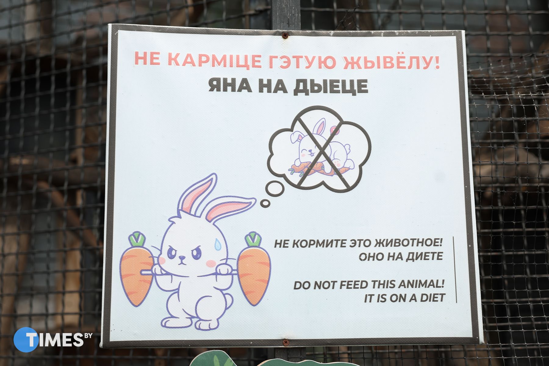 Фото: Павел Орловский, Times.by