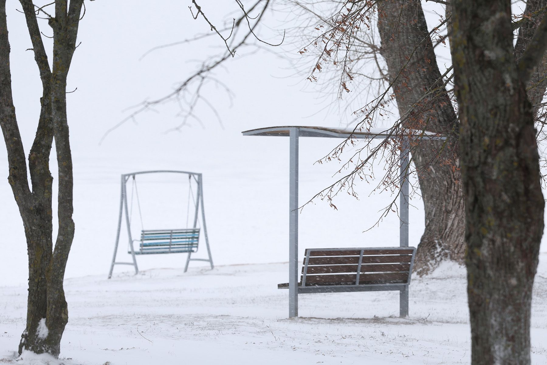Скамейка и качели