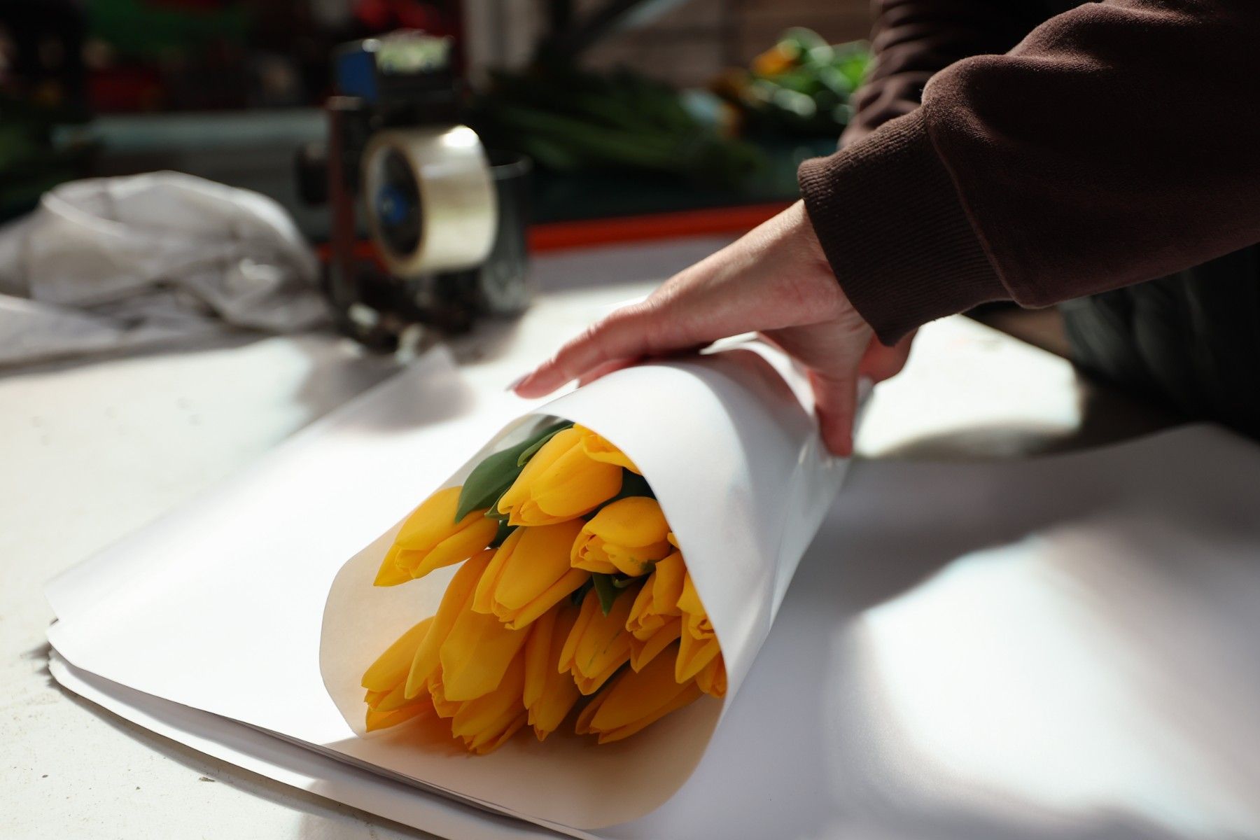 тюльпаны_цветы