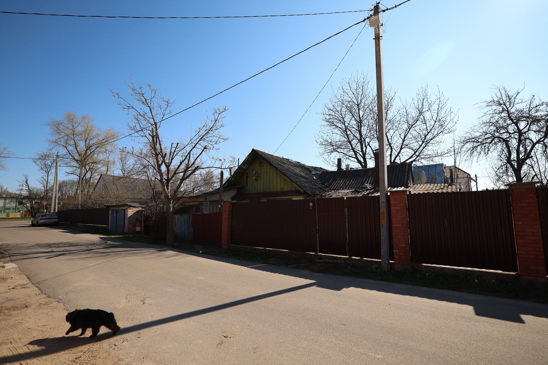 Фото: Павел Орловский, Times.by