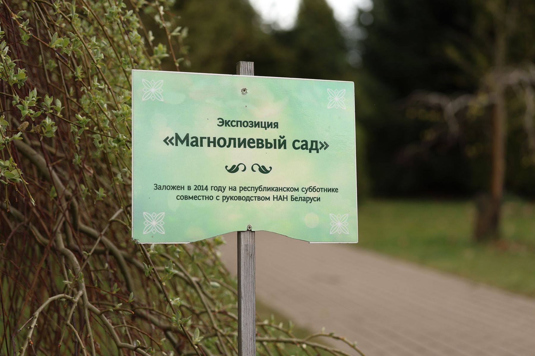 Фото: Павел Орловский, Times.by