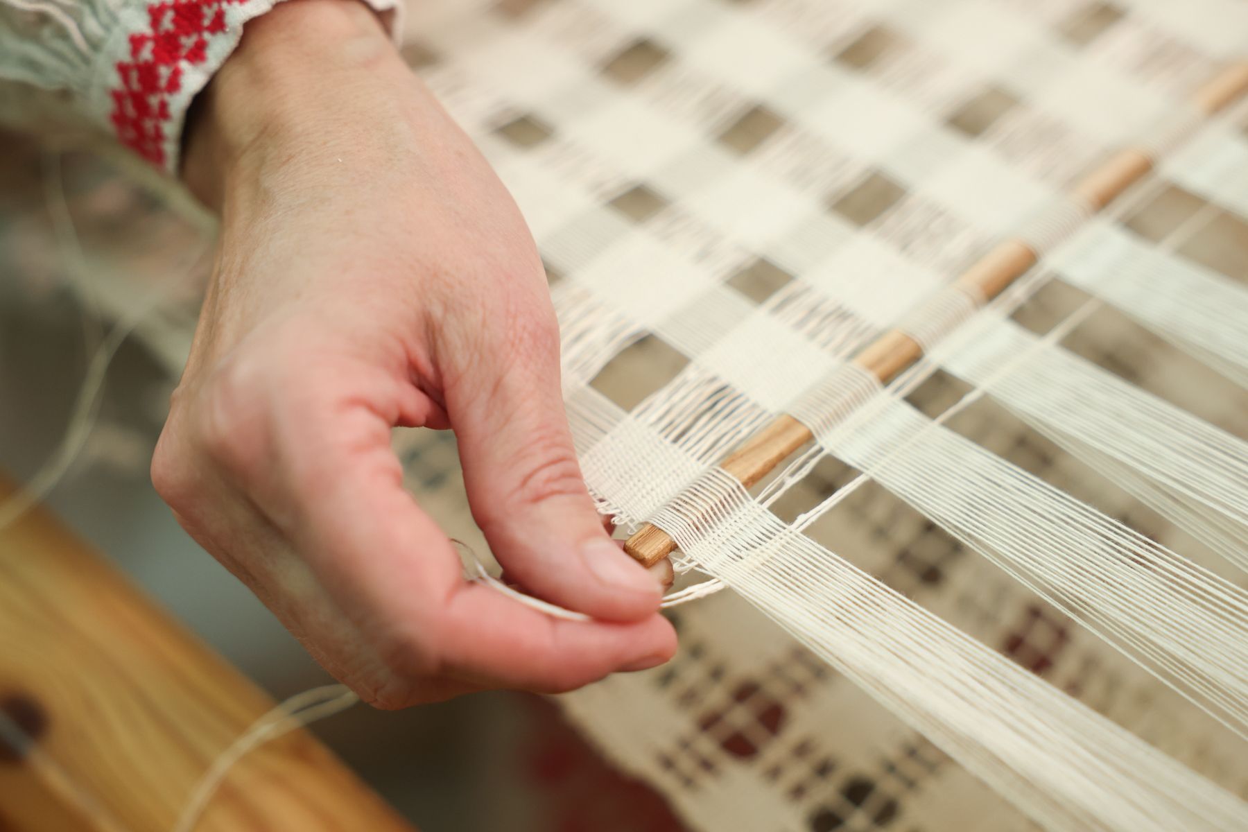 Фото: Павел Орловский, Times.by