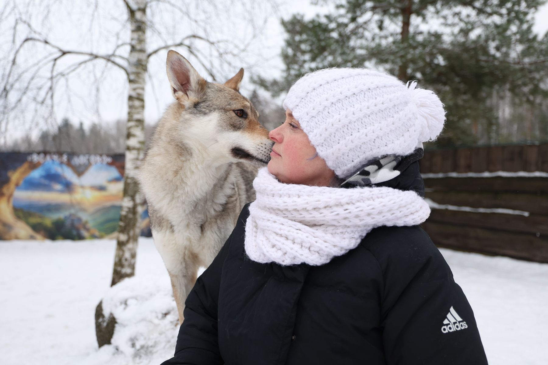 Чехословацкие волчьи собаки