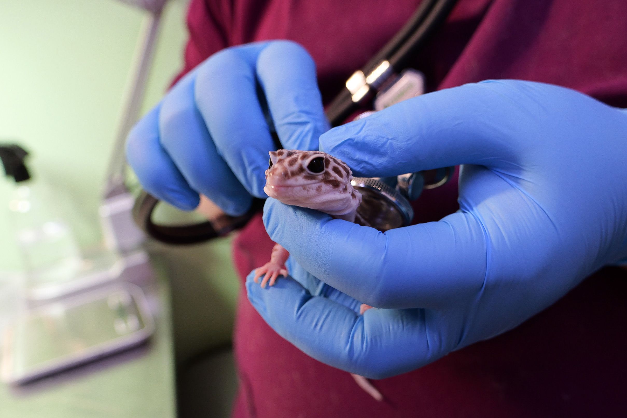 © Павел Орловский, Times.by