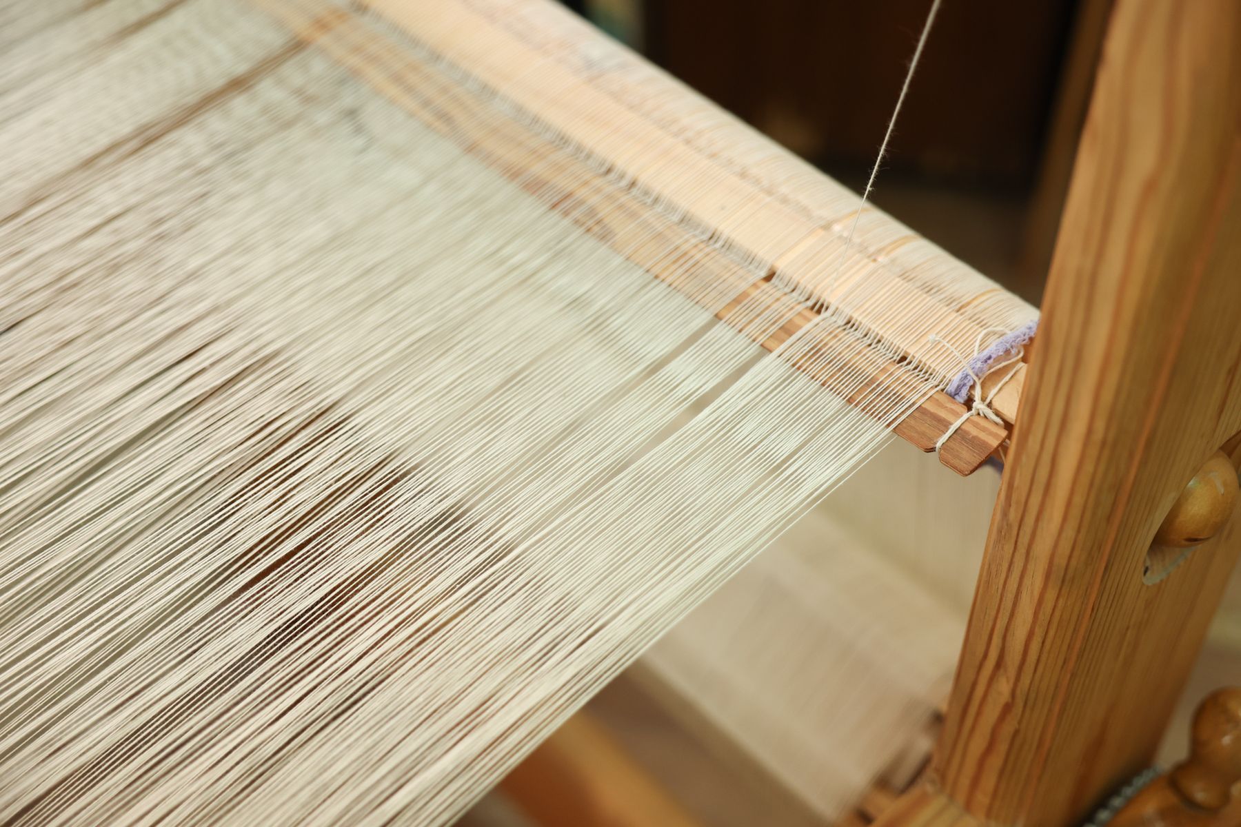 Фото: Павел Орловский, Times.by