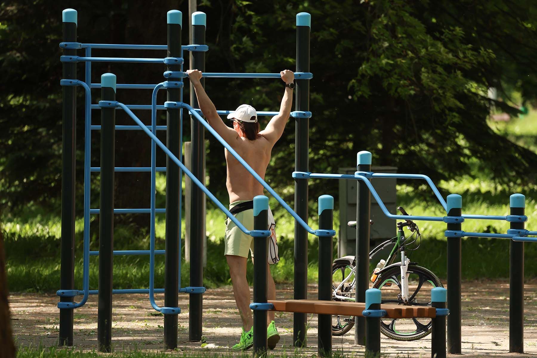 спорт зож фитнес 