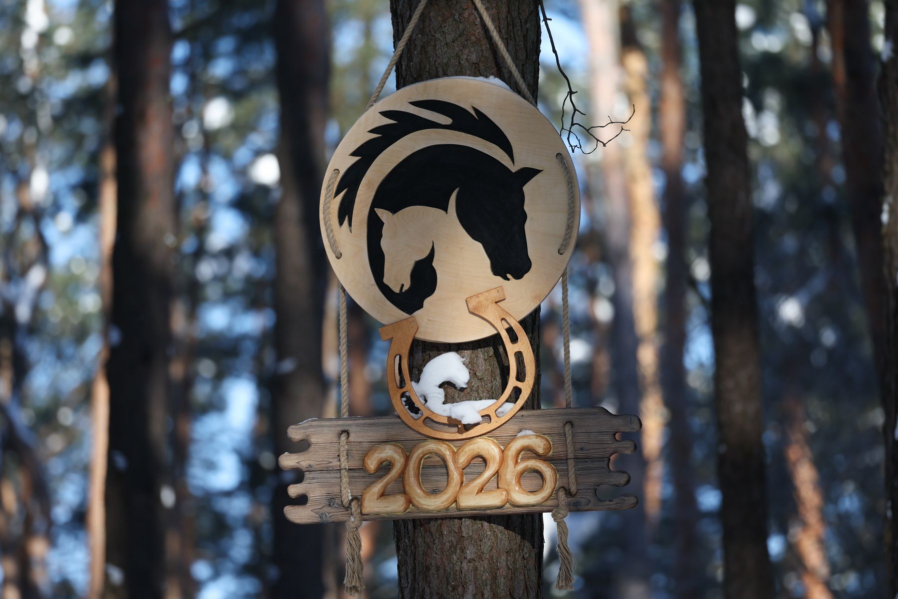 Резиденция Снегурочки