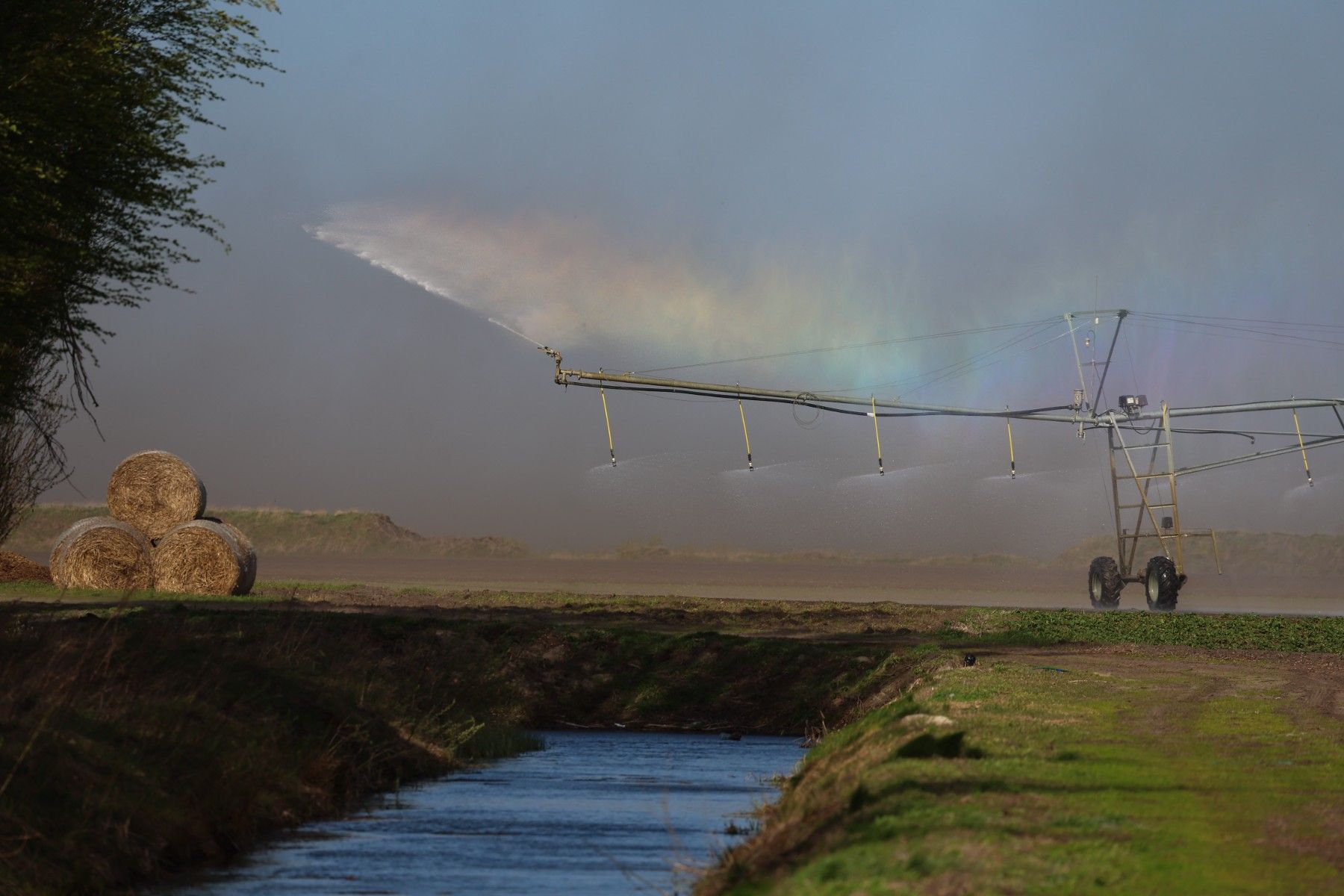 Фото: Павел Орловский, Times.by
