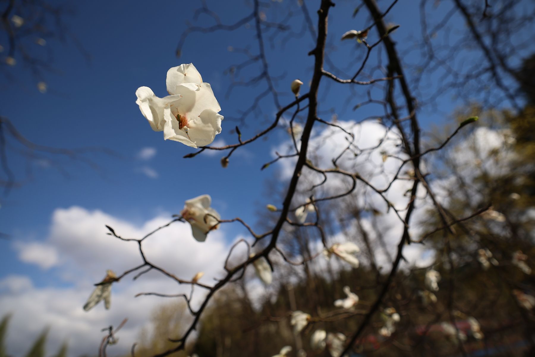 Фото: Павел Орловский, Times.by