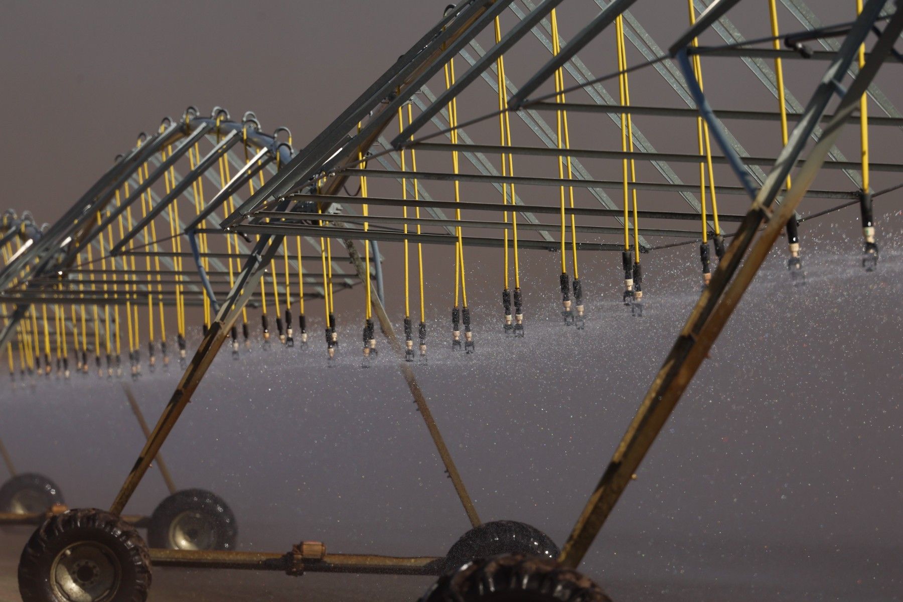 Фото: Павел Орловский, Times.by