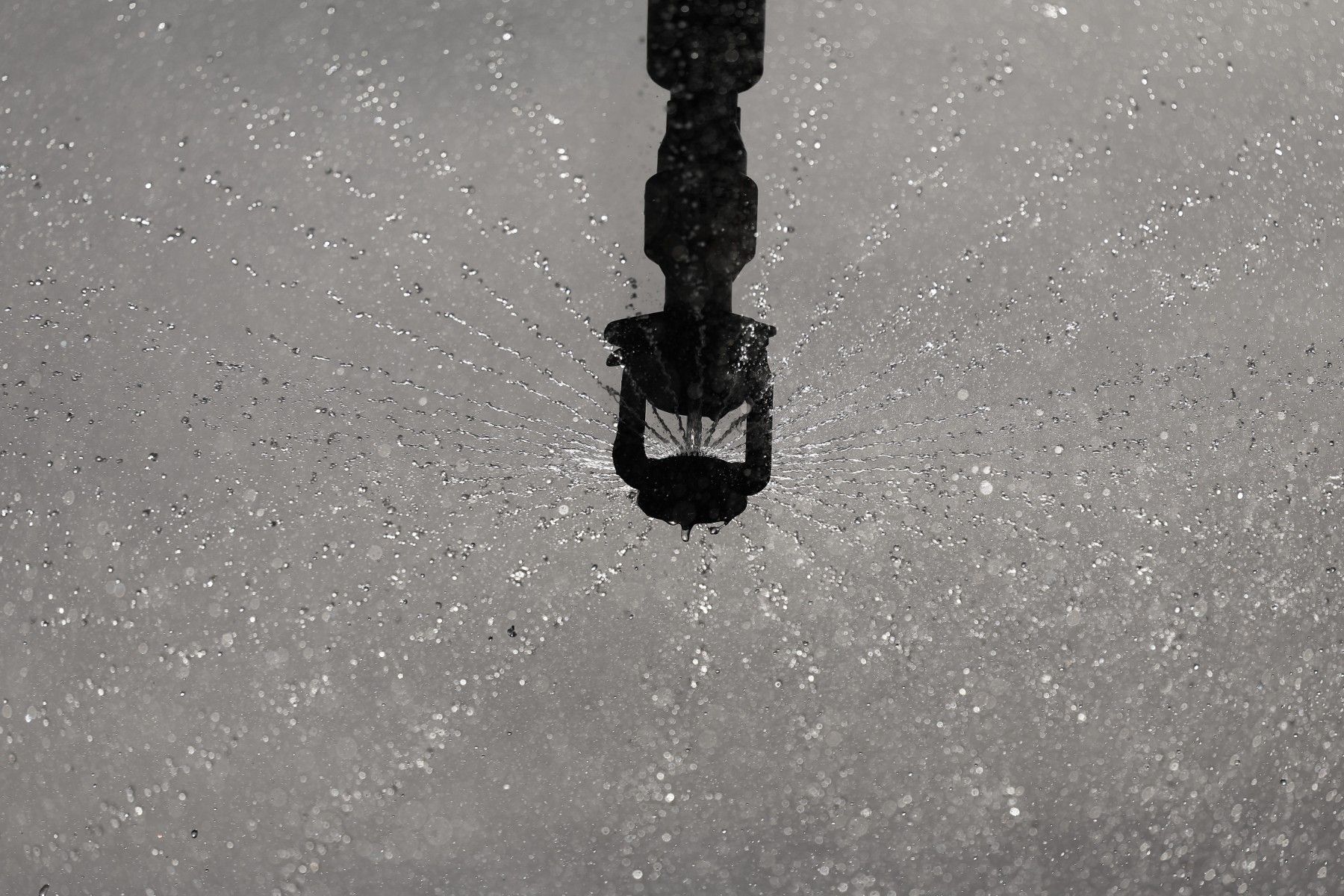 Фото: Павел Орловский, Times.by