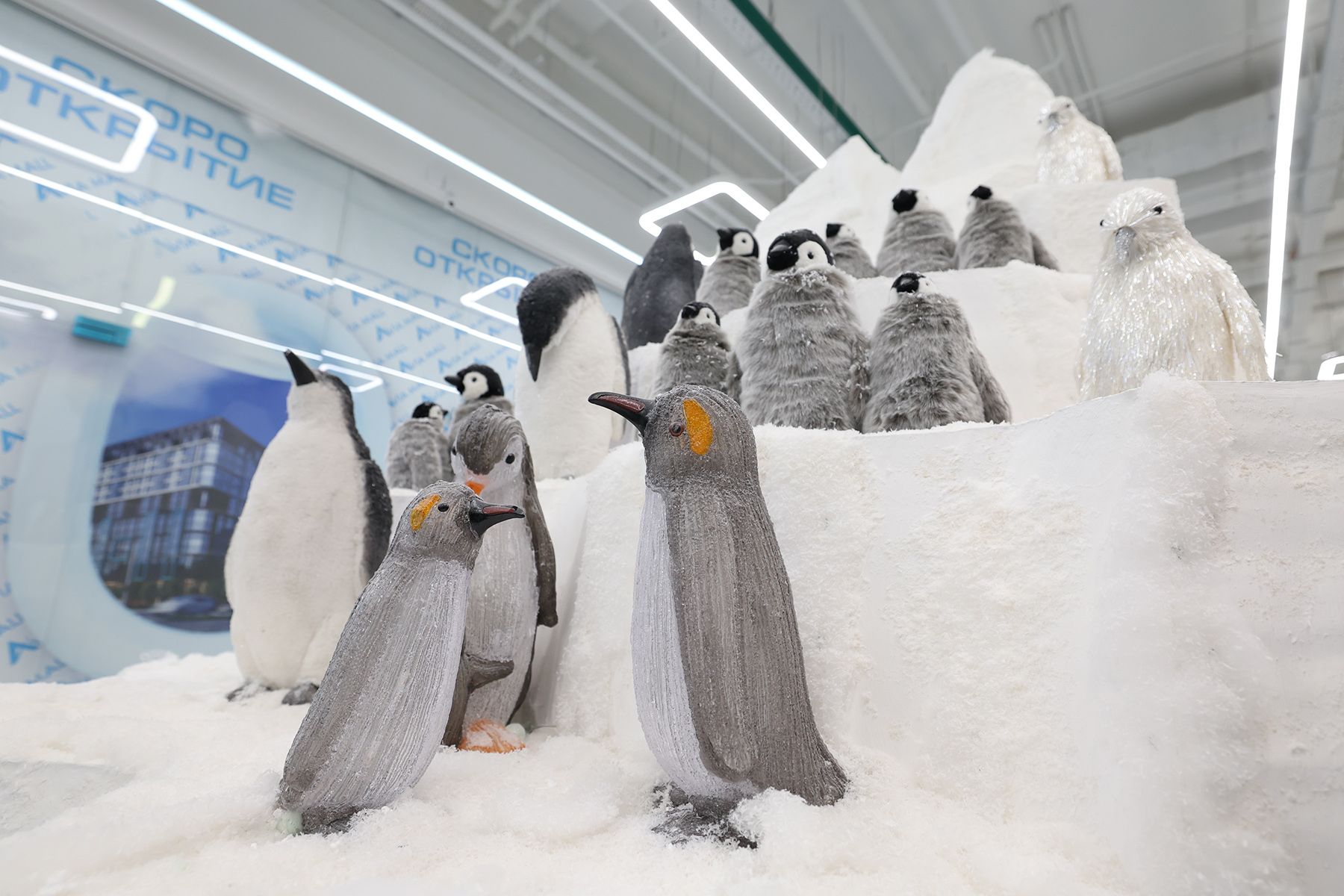 Фотозона в Avia Mall