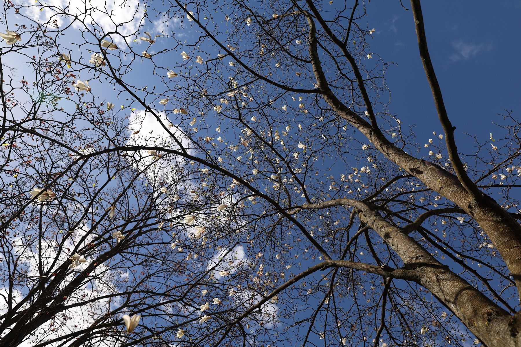 Фото: Павел Орловский, Times.by
