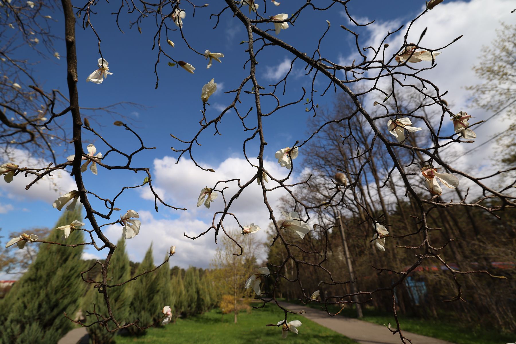 Фото: Павел Орловский, Times.by