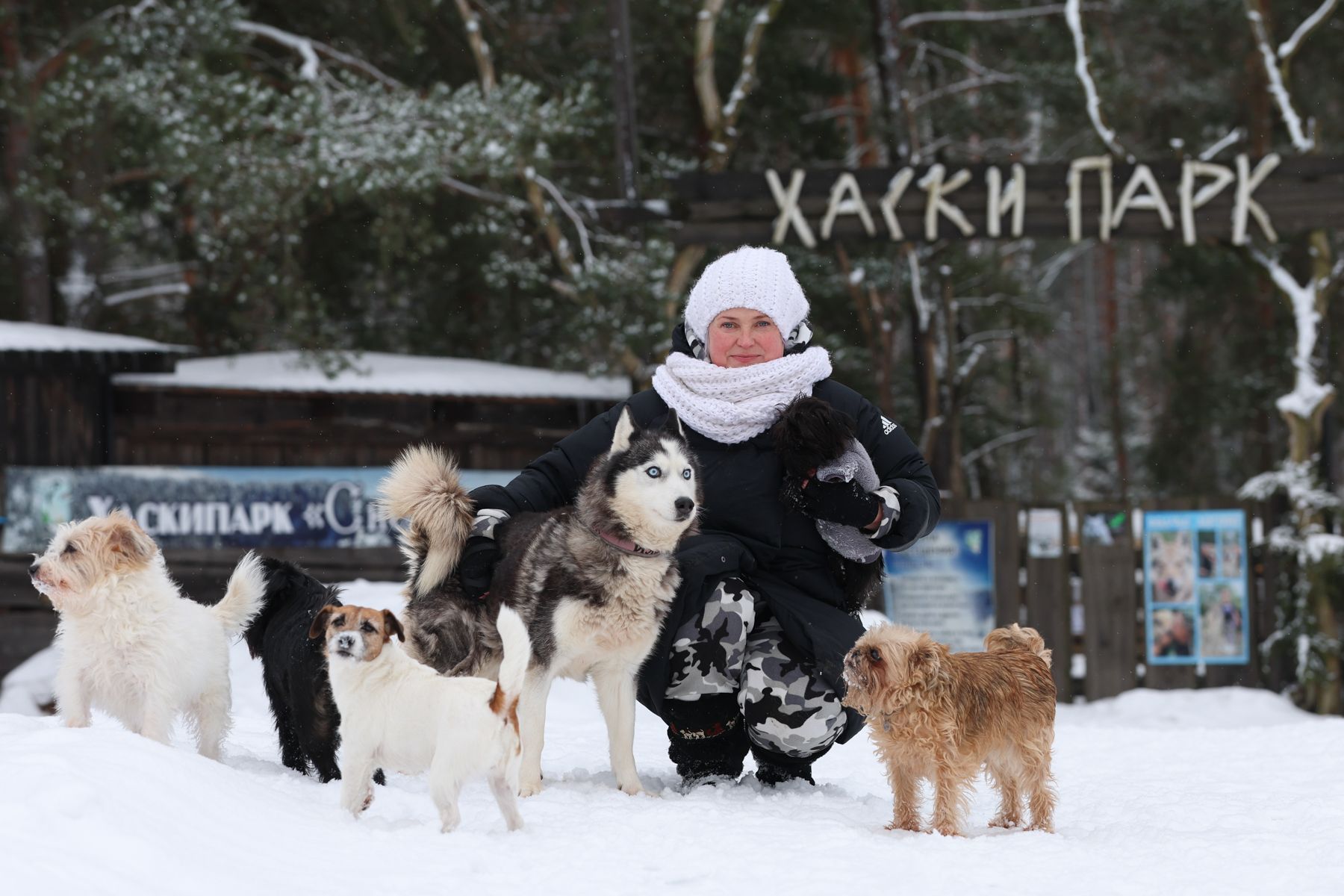 Наталья Винтерштейн с собаками