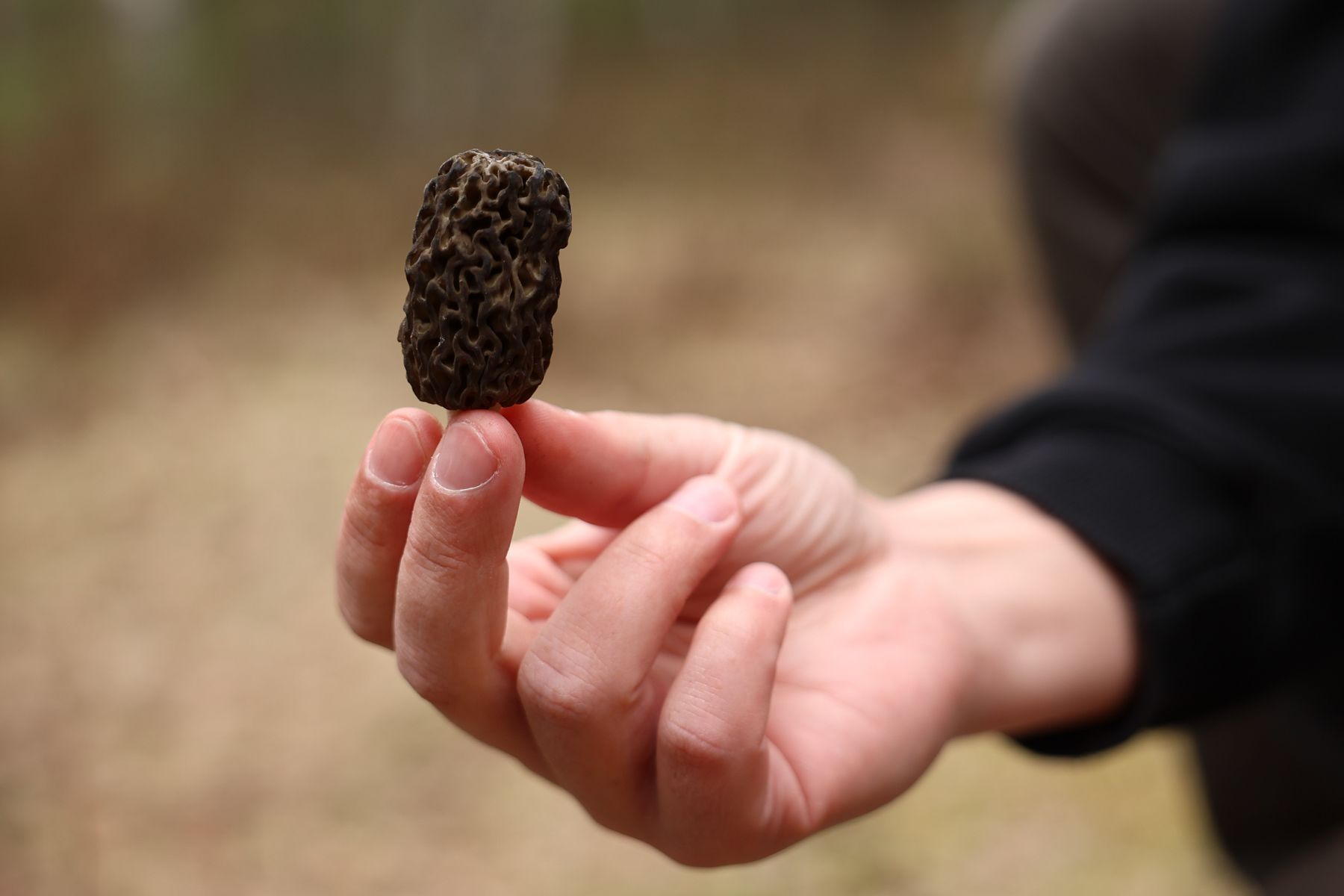 Фото: Павел Орловский, Times.by