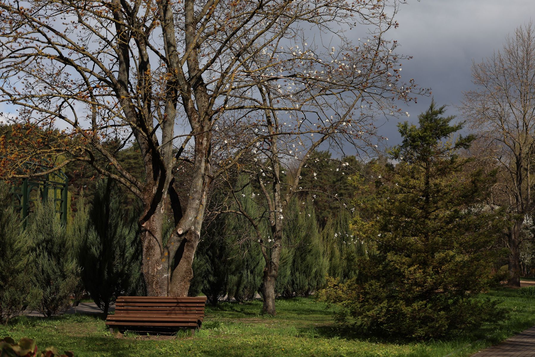 Фото: Павел Орловский, Times.by