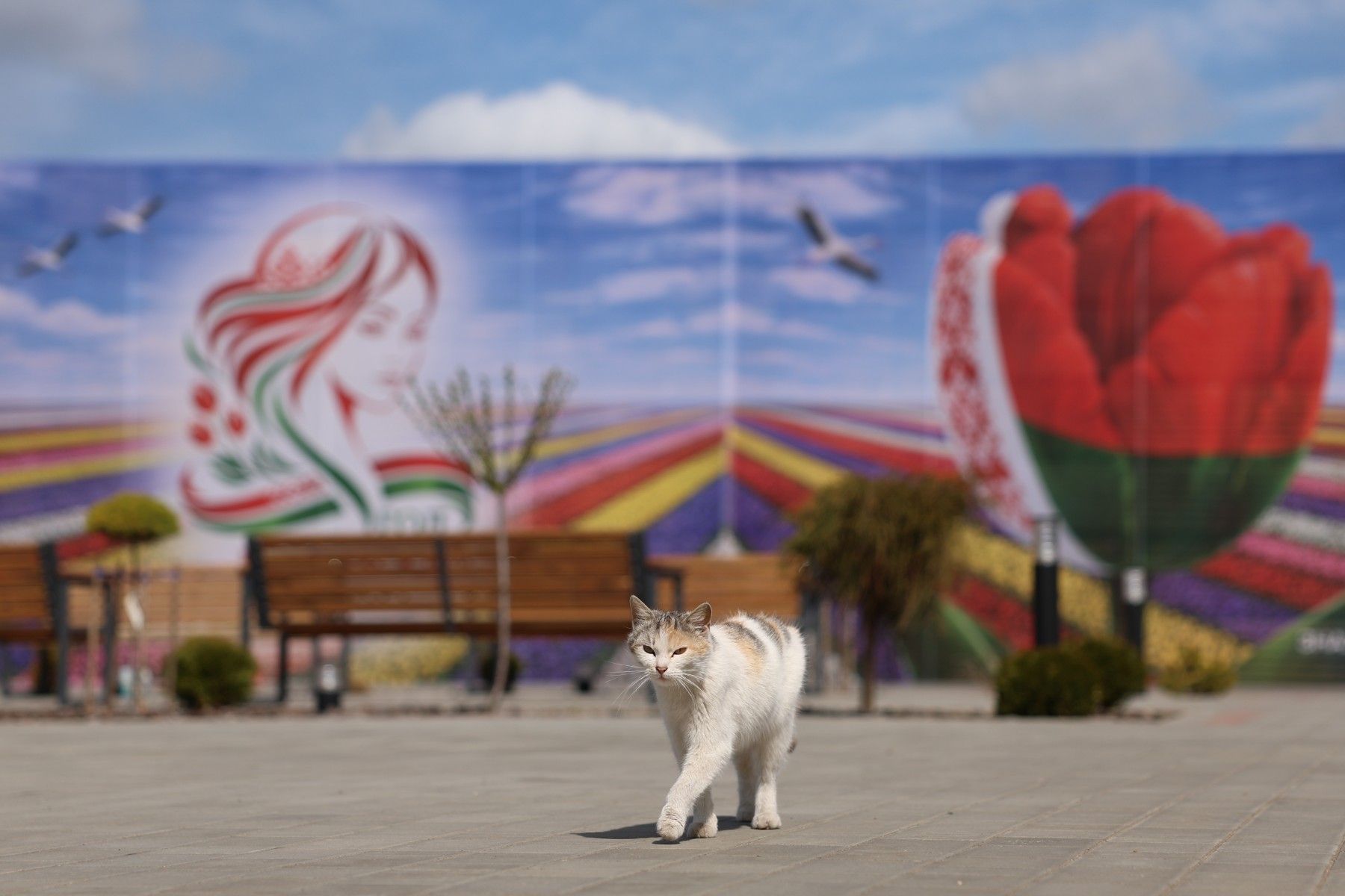 Фото: Павел Орловский, Times.by
