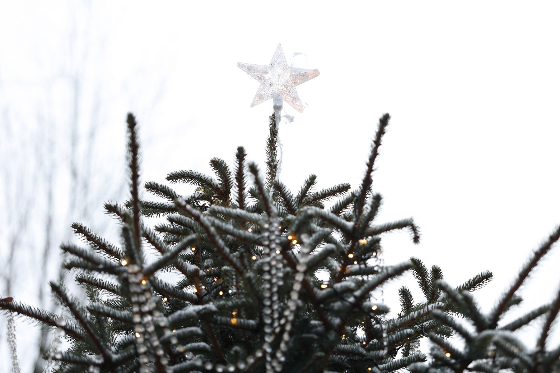 новогодние фотозоны