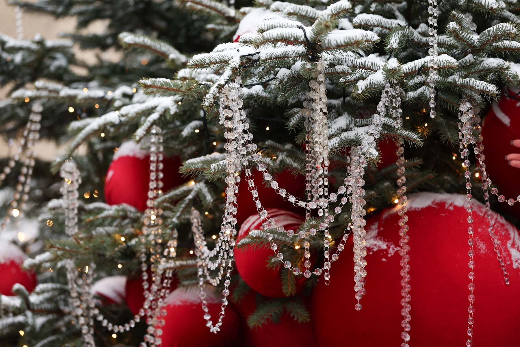 © Павел Орловский, Times.by