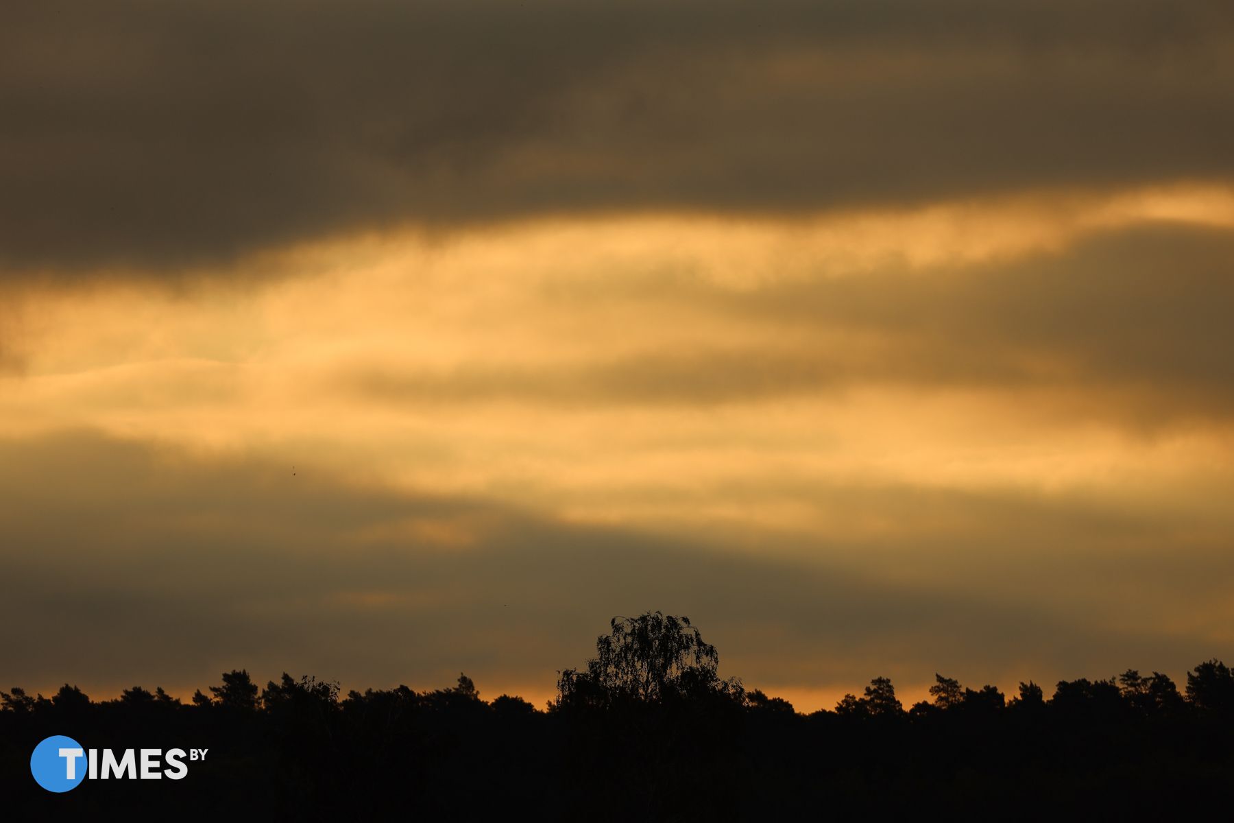 Фото: Times.by