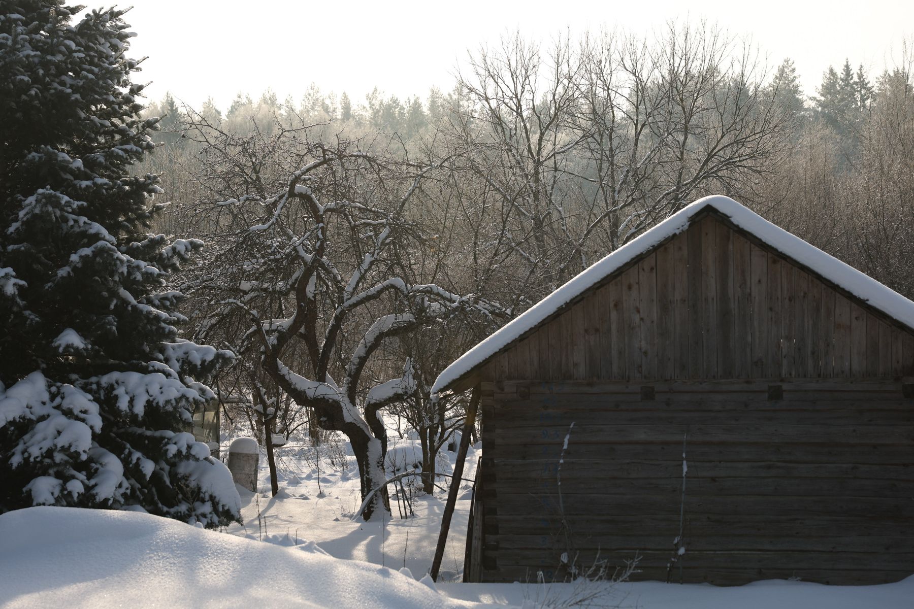 Деревня Ливье зимой