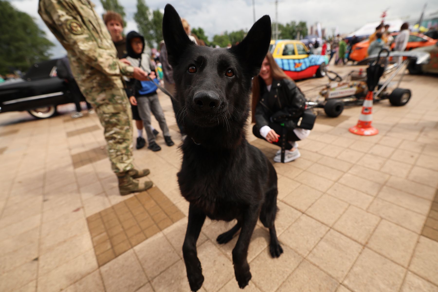 Фото: Павел Орловский, Times.by