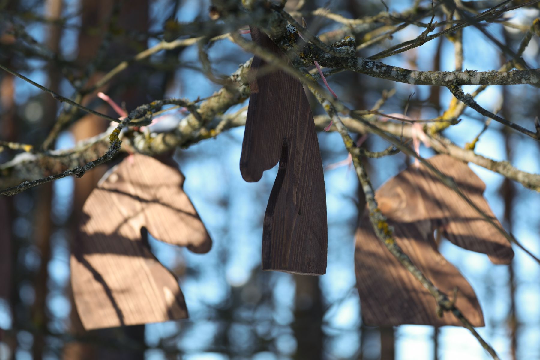 Резиденция Снегурочки