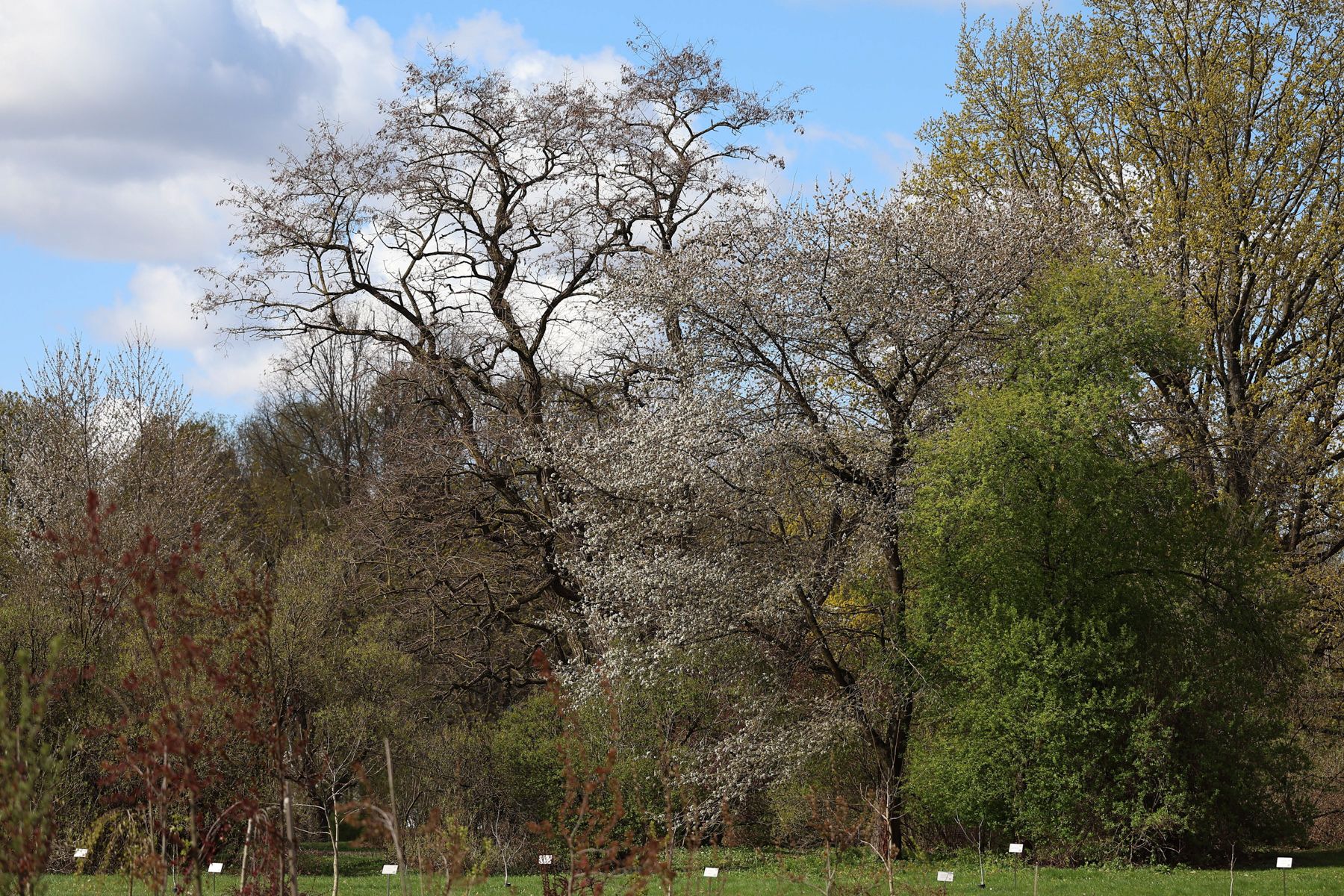 Фото: Павел Орловский, Times.by