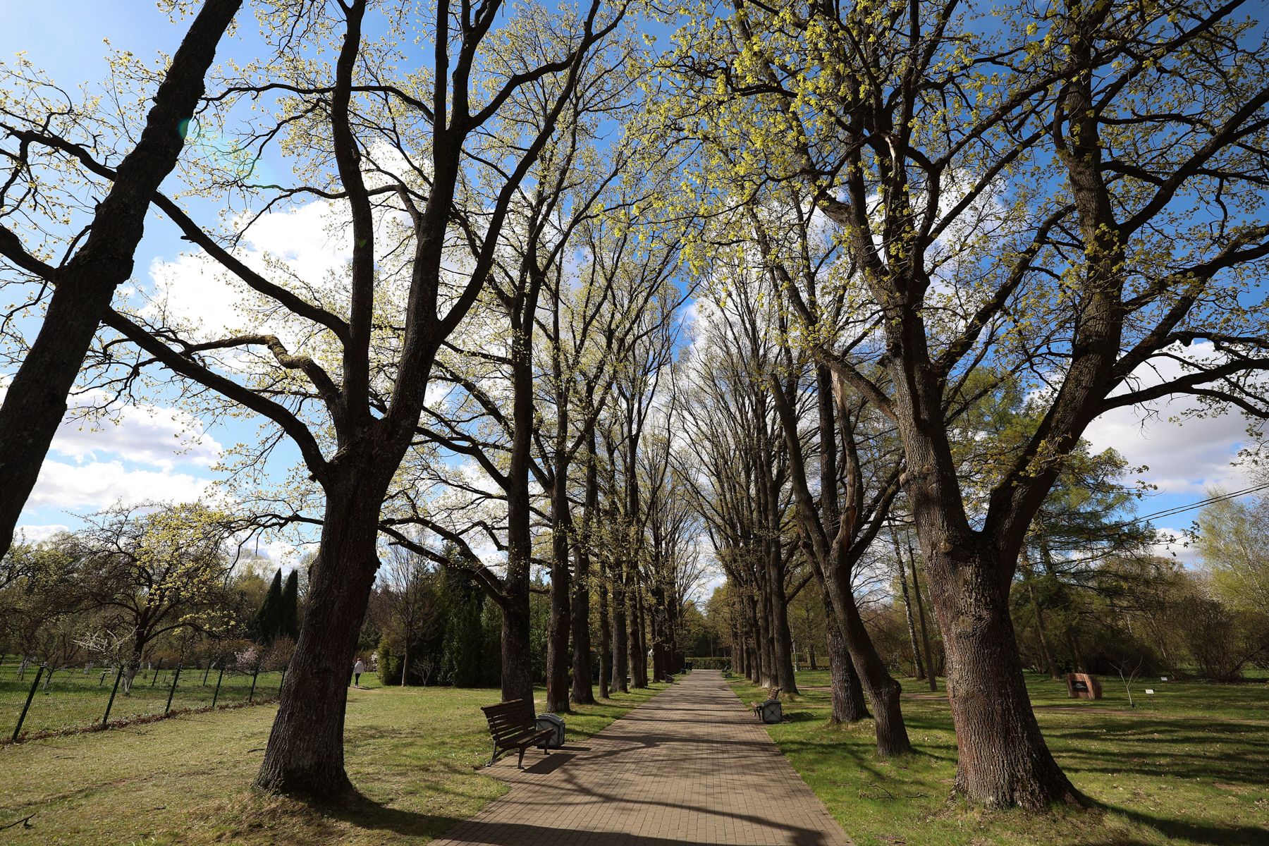 Фото: Павел Орловский, Times.by