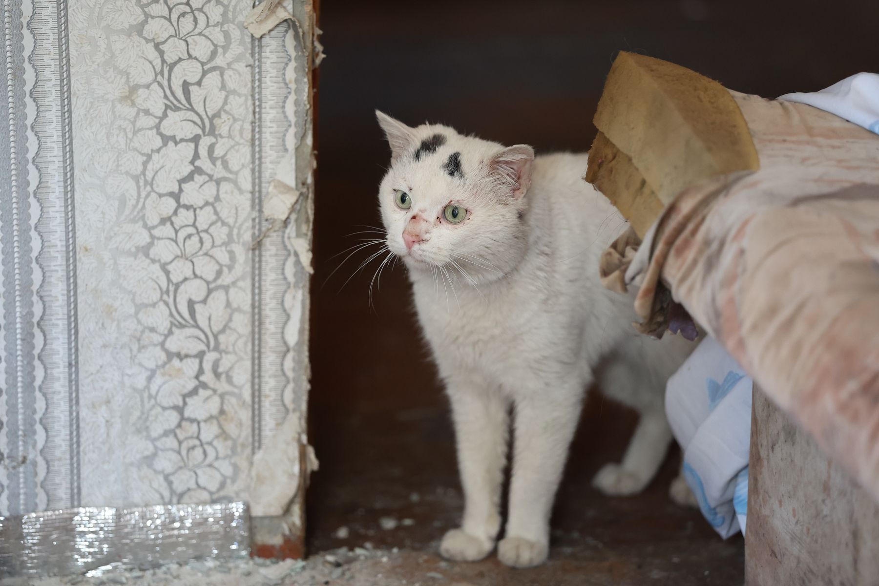 Фото: Павел Орловский, Times.by