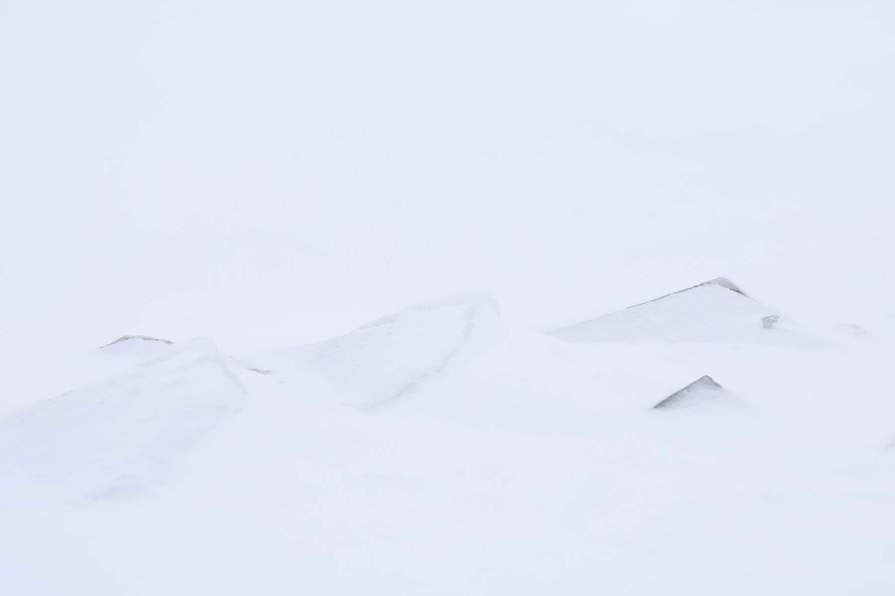 © Павел Орловский, Times.by