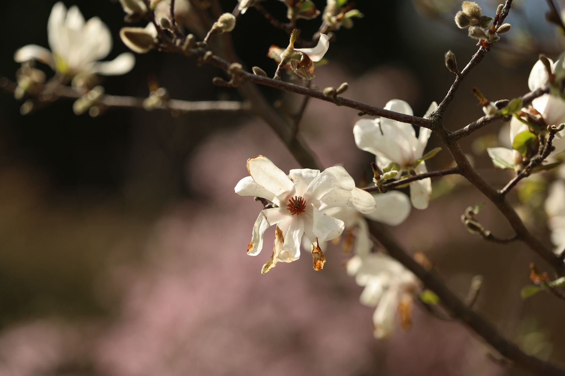 Фото: Павел Орловский, Times.by
