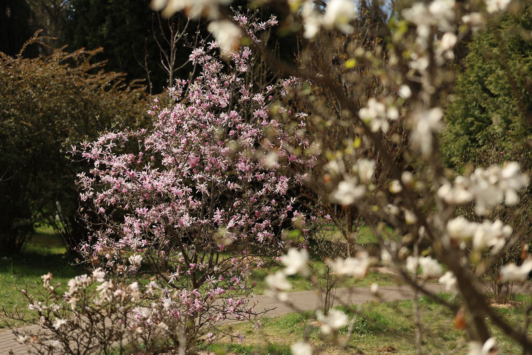 Фото: Павел Орловский, Times.by