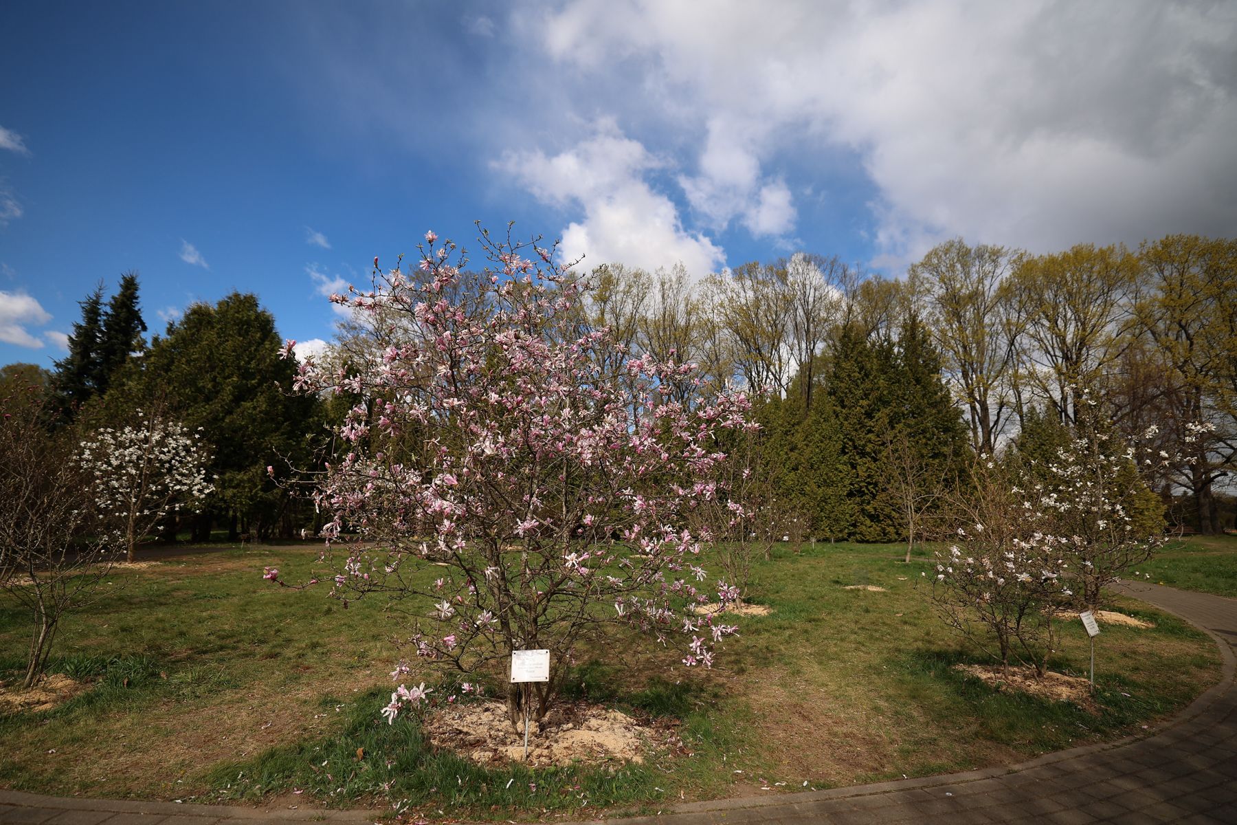Фото: Павел Орловский, Times.by