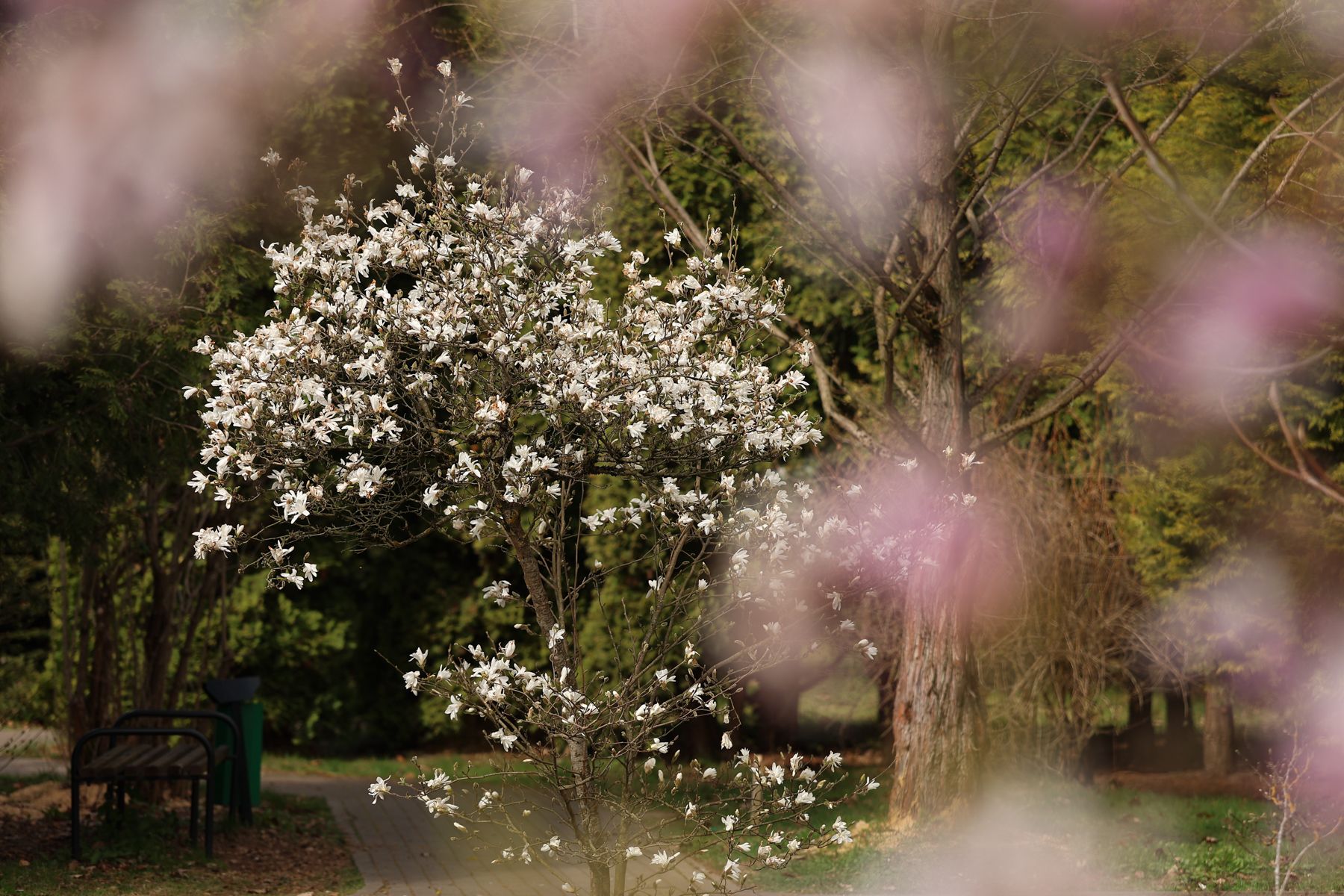 Фото: Павел Орловский, Times.by
