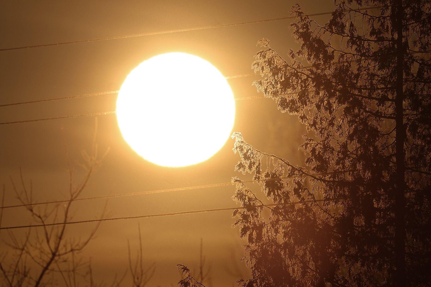 Солнце зимой