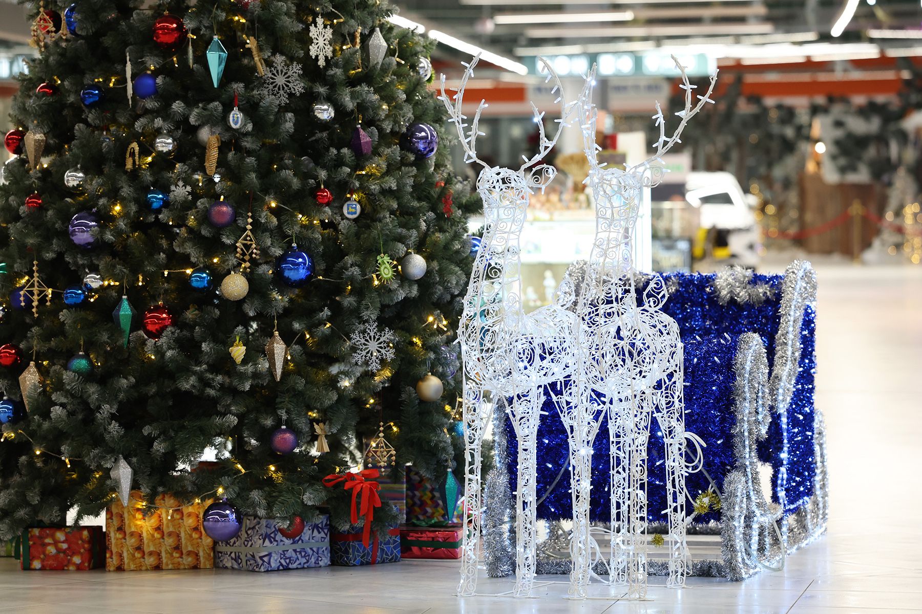 Першы гандлевы дом