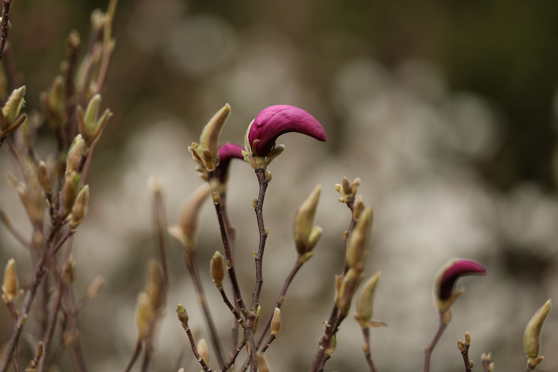Фото: Павел Орловский, Times.by