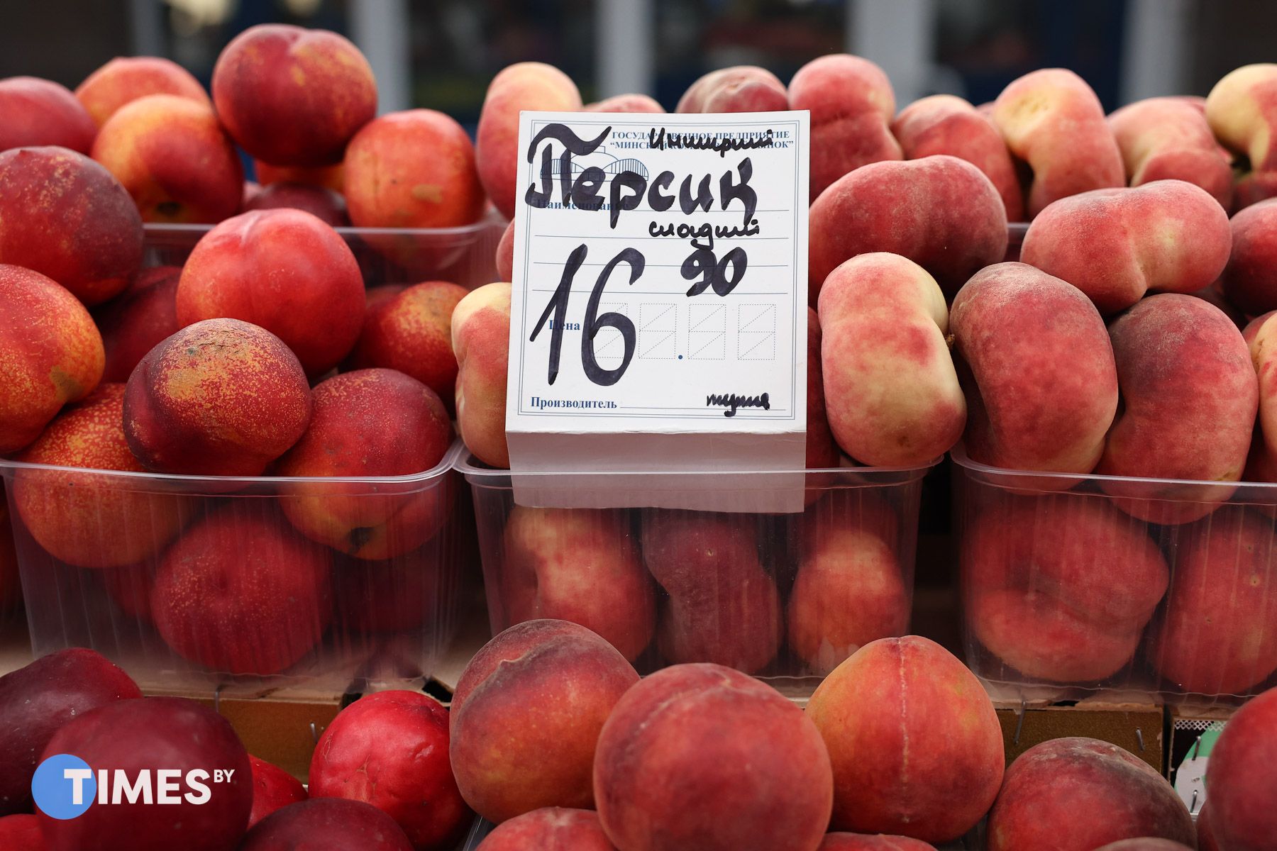 Фото: Павел Орловский, Times.by