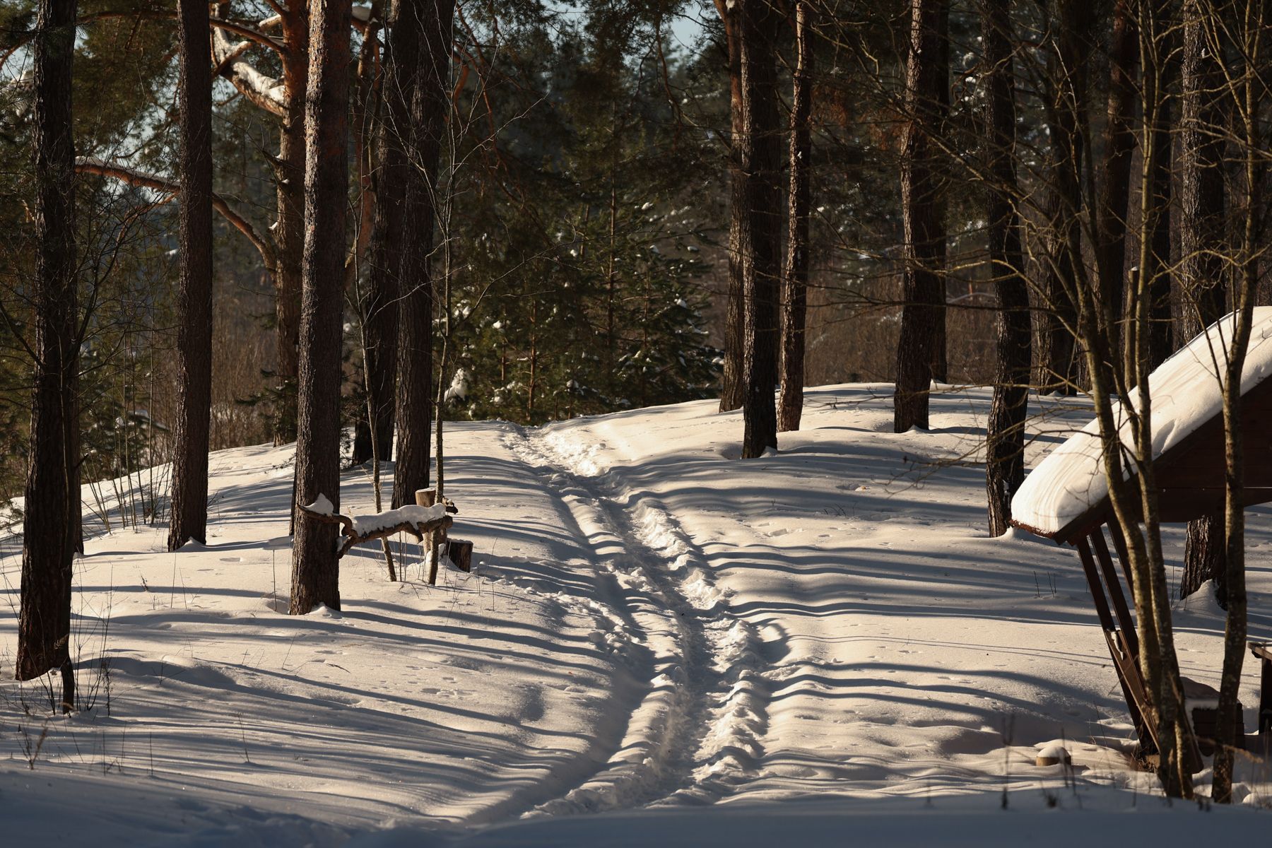 Резиденция Снегурочки