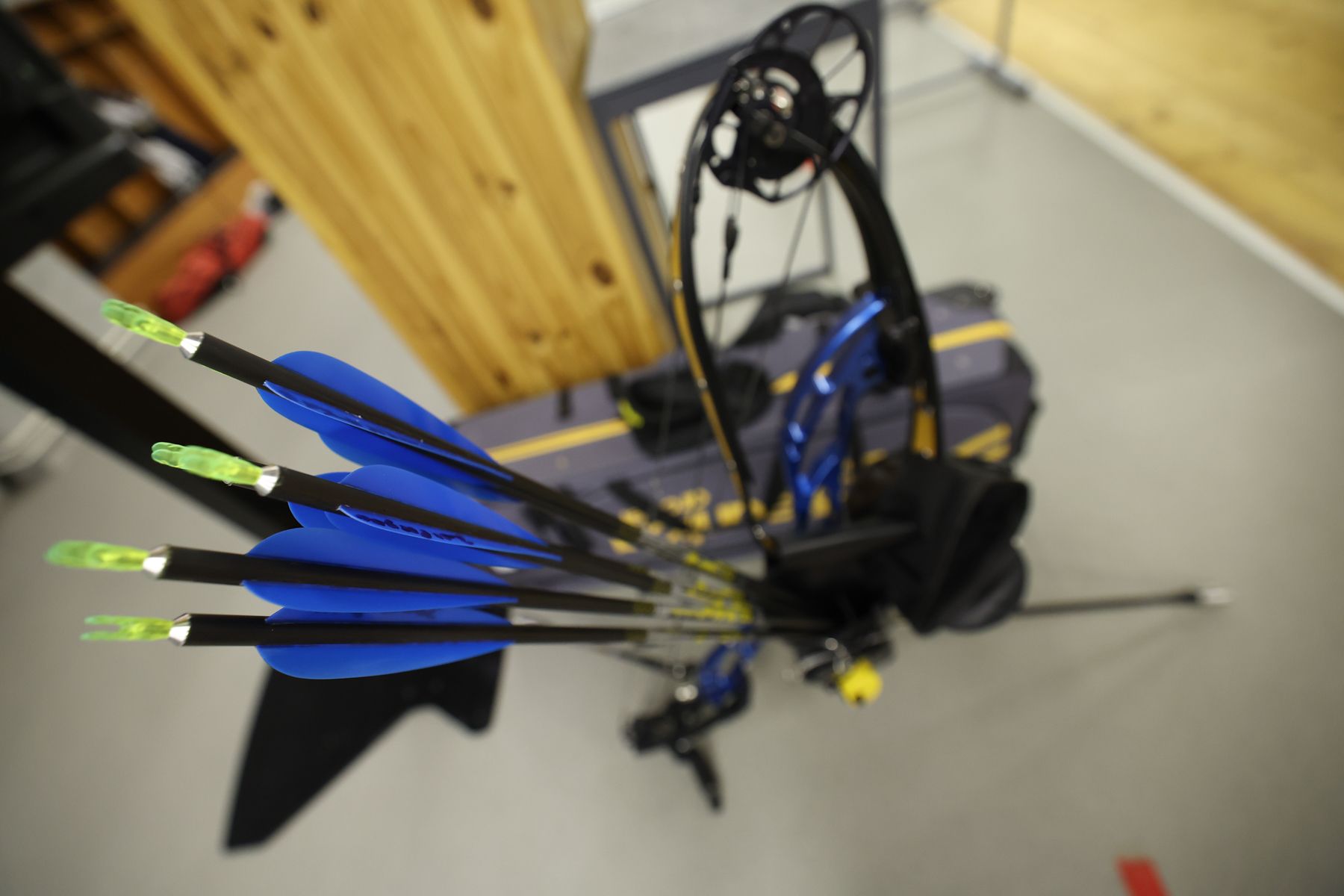 Стрельба из лука