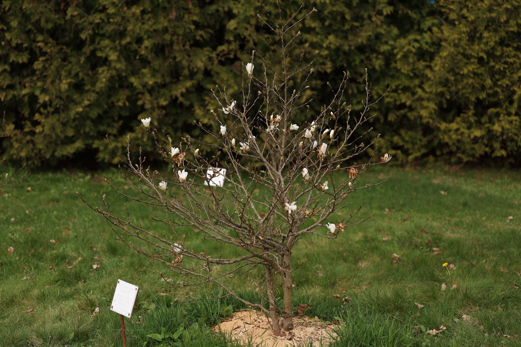 Фото: Павел Орловский, Times.by