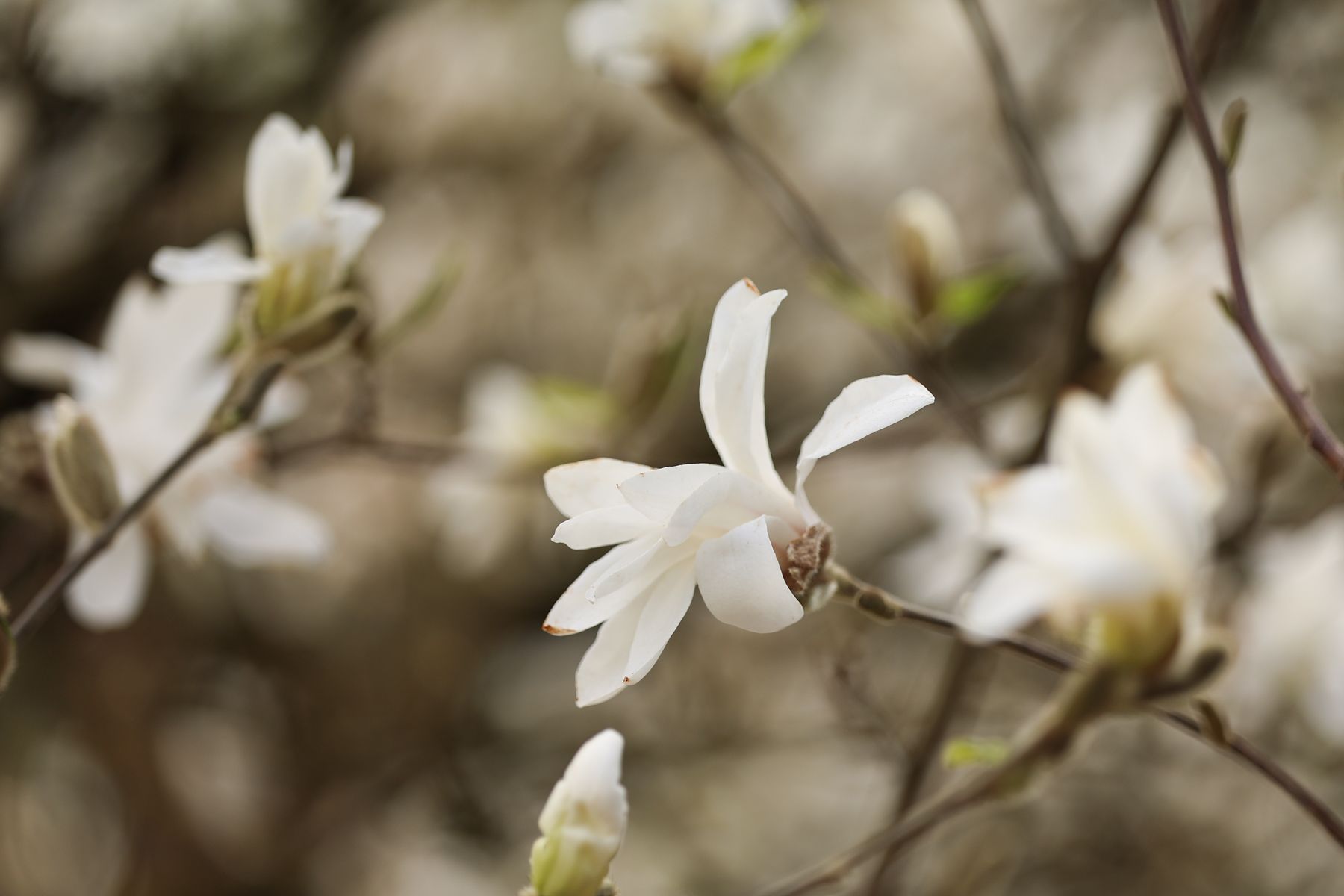 Фото: Павел Орловский, Times.by