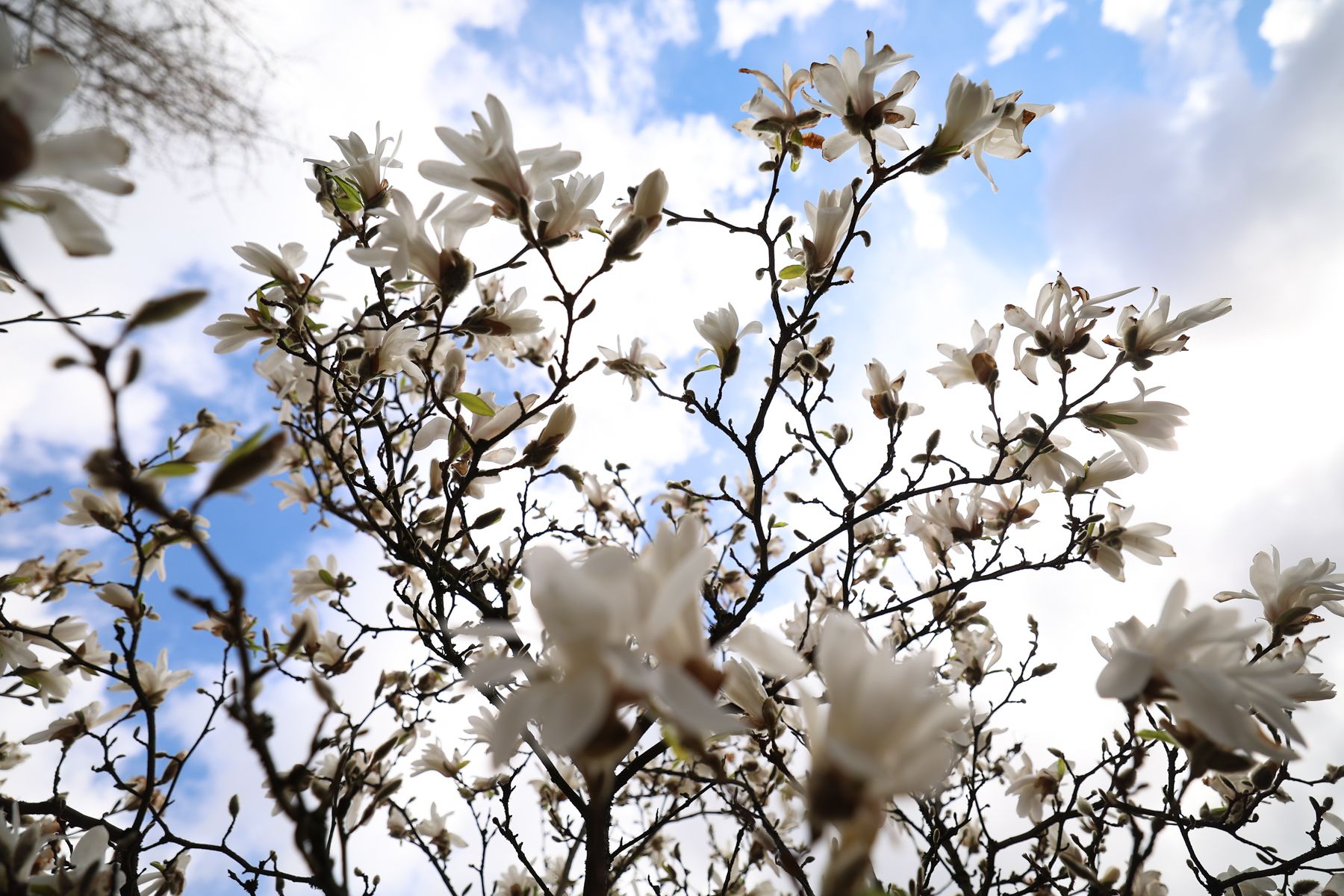 Фото: Павел Орловский, Times.by