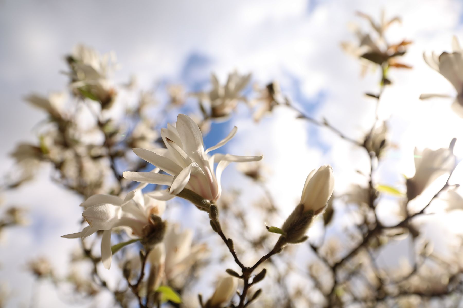 Фото: Павел Орловский, Times.by